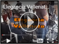 Grupo Vallenato desde $120mil - Expertos en parranda vallenata